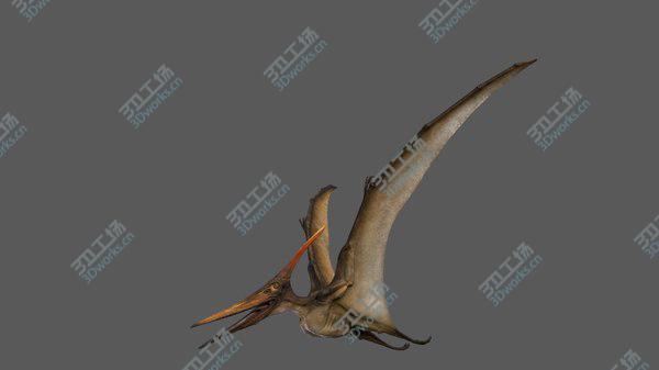 images/goods_img/20210312/3D Pteranodon Longiceps Rigged/5.jpg